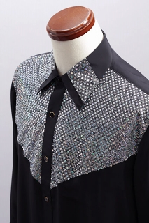 �X�p���R�[�����M�����[�V���c