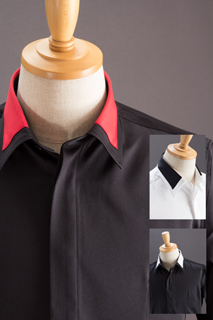 �f�U�C���J���[�䗃�V���c