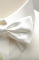 白い 蝶ネクタイ、舞台、衣装